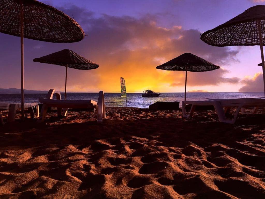 Cicek Evler Tatil Koeyue Ξενοδοχείο Armutlu Εξωτερικό φωτογραφία